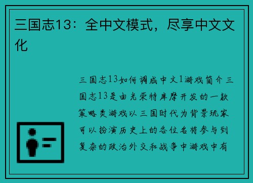 三国志13：全中文模式，尽享中文文化
